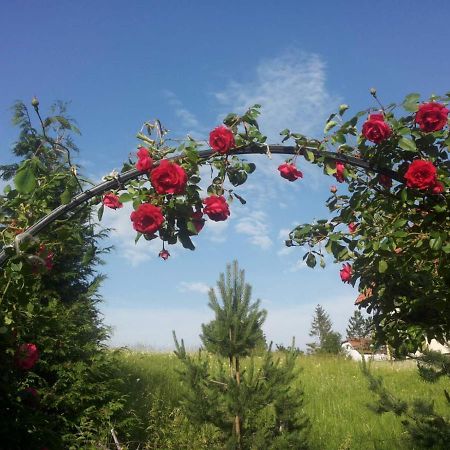 Vila Dodi Villa Bajina Basta Buitenkant foto