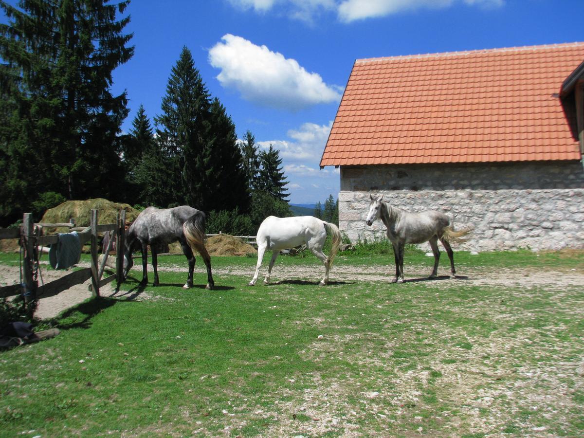 Vila Dodi Villa Bajina Basta Buitenkant foto