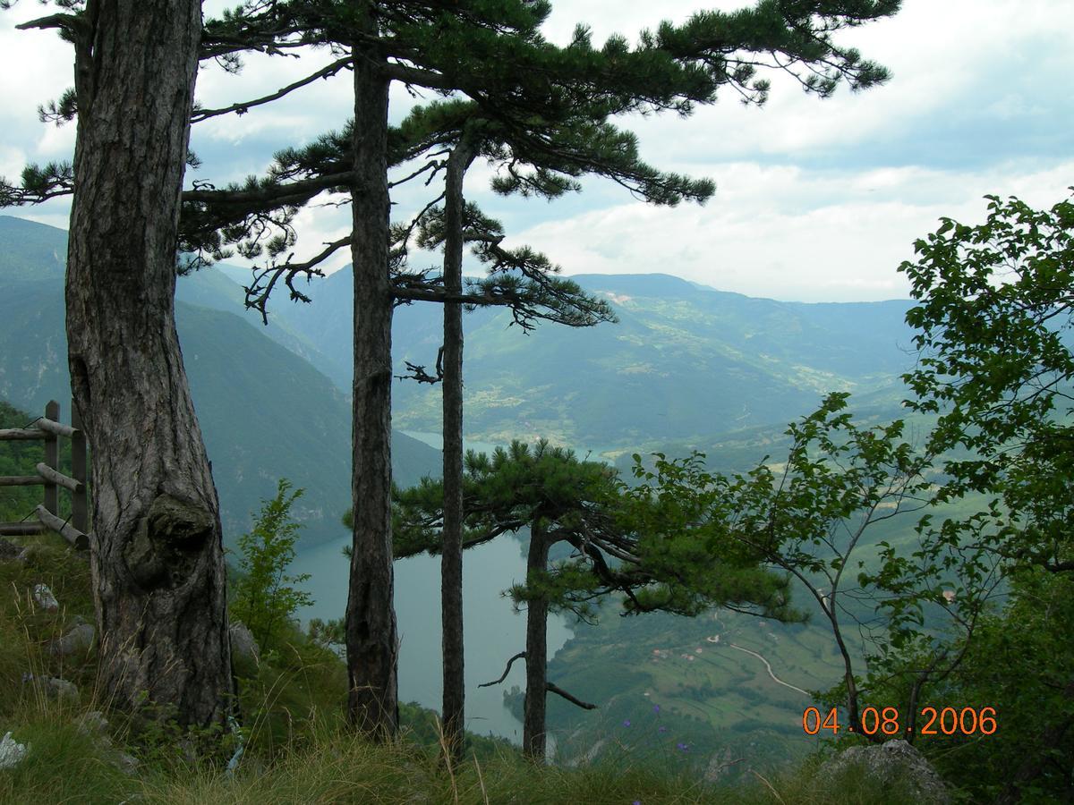 Vila Dodi Villa Bajina Basta Buitenkant foto