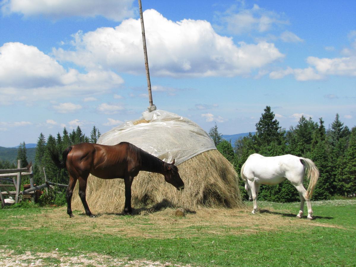 Vila Dodi Villa Bajina Basta Buitenkant foto