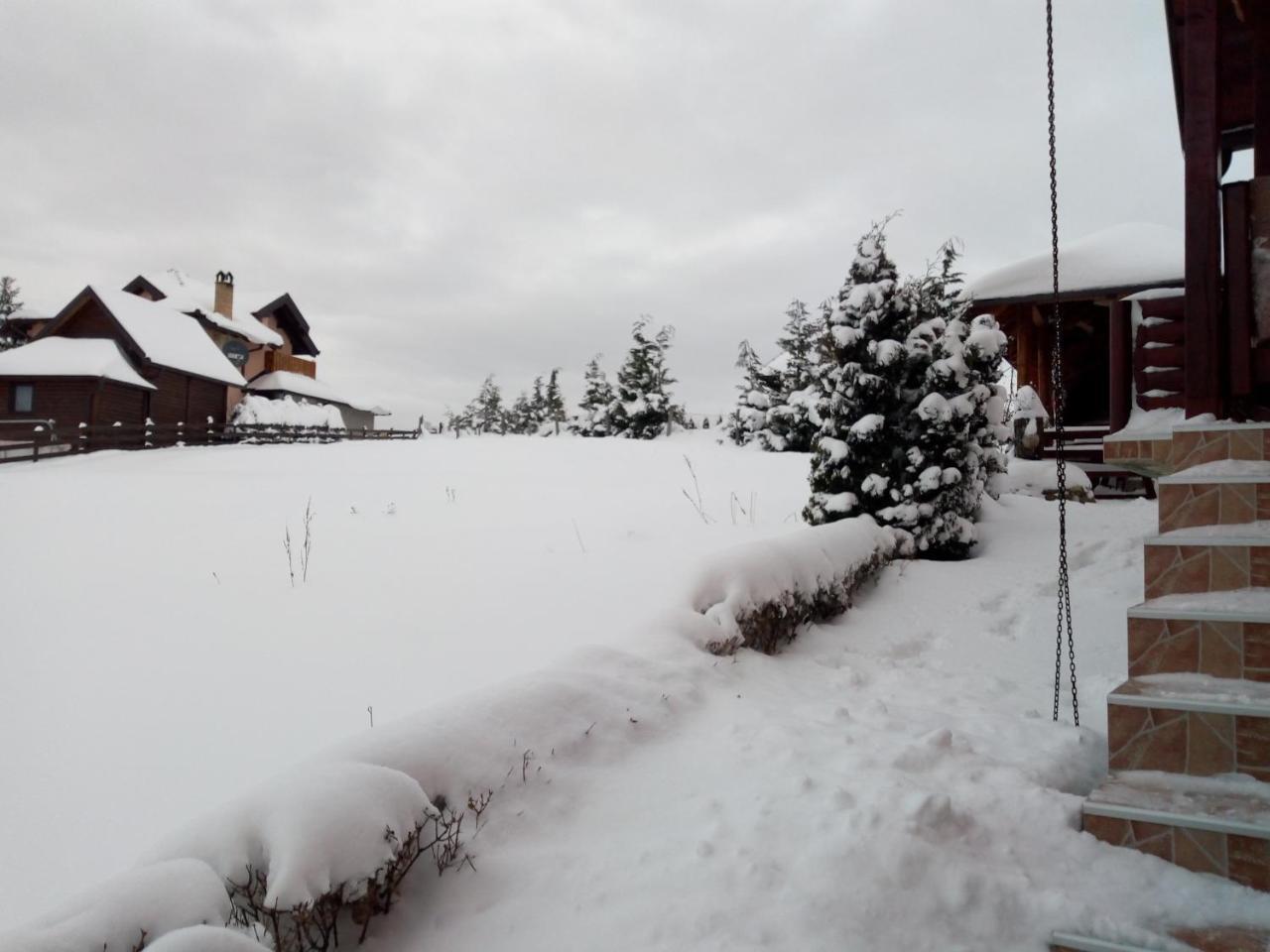 Vila Dodi Villa Bajina Basta Buitenkant foto