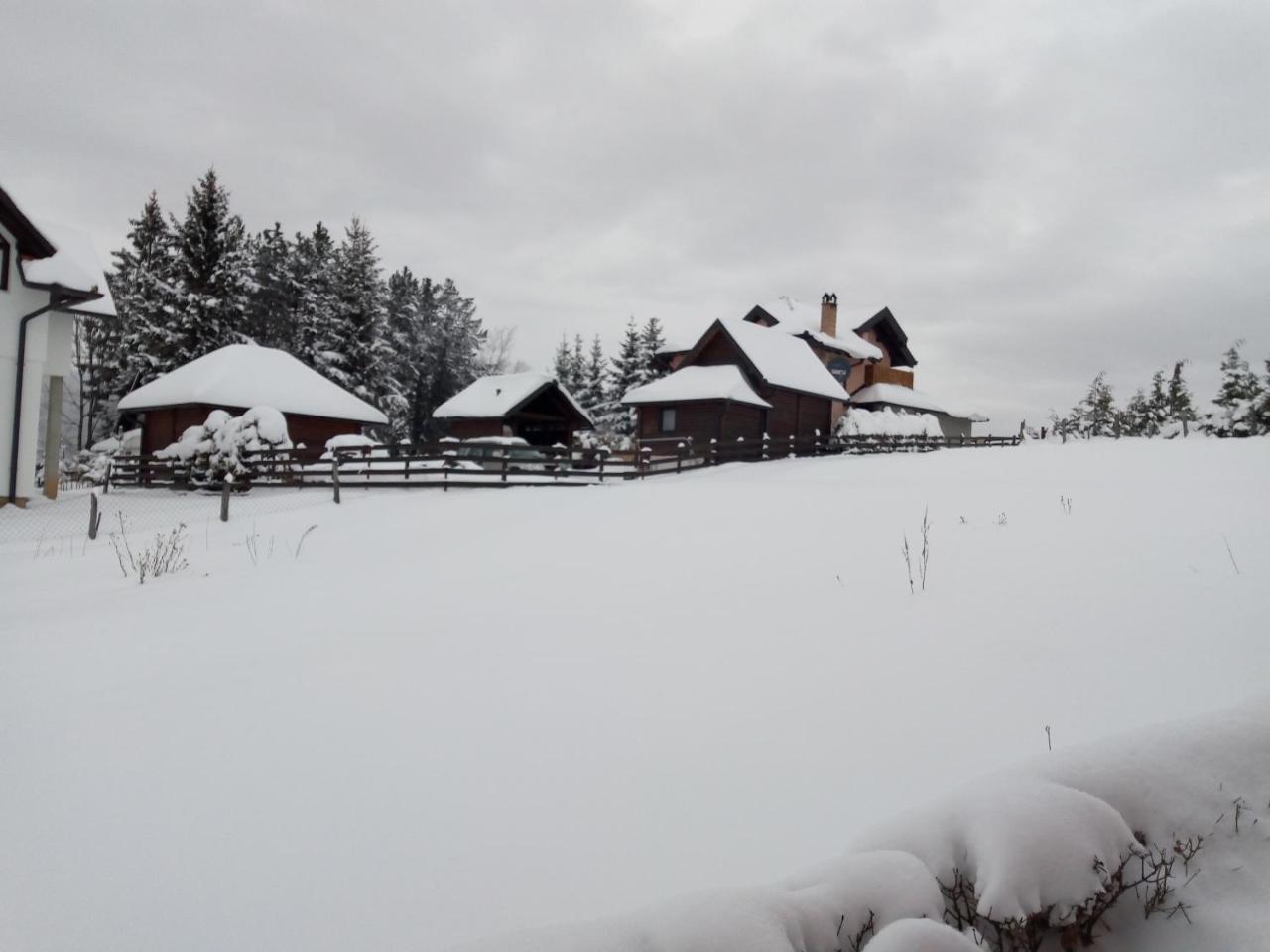 Vila Dodi Villa Bajina Basta Buitenkant foto