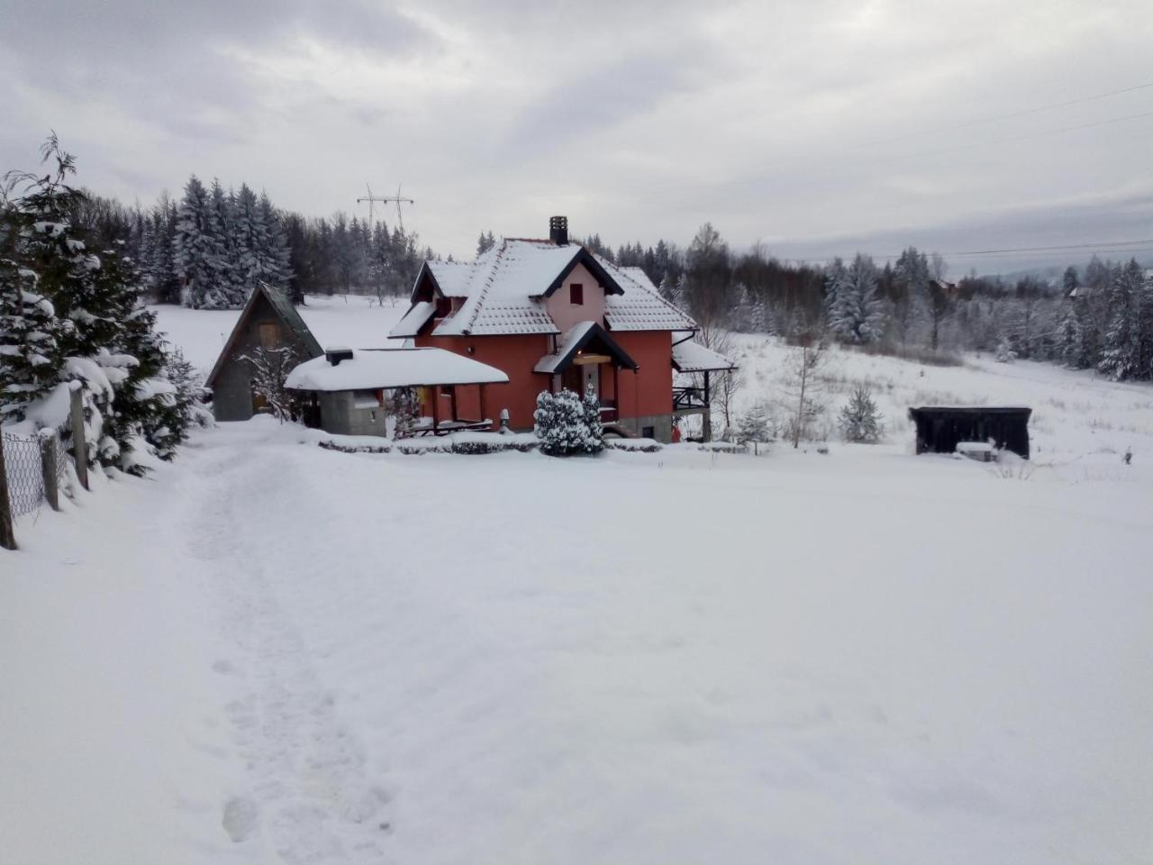 Vila Dodi Villa Bajina Basta Buitenkant foto