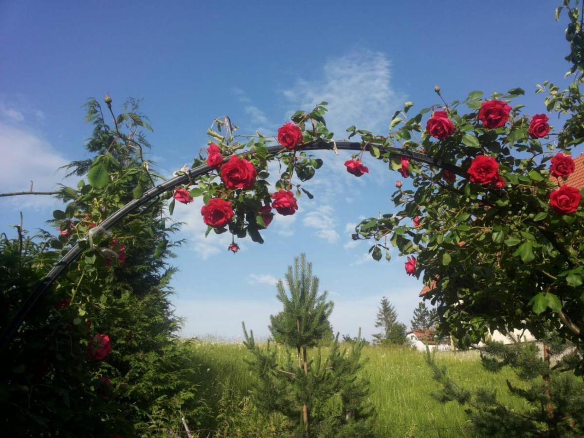 Vila Dodi Villa Bajina Basta Buitenkant foto